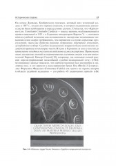 Клиническая судебная медицина. Руководство для врачей - Фото 7