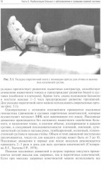 Реабилитация неврологических больных - Фото 9