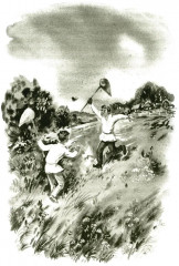 Рассказы о природе - Фото 14