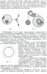 Алгоритмические и компьютерные методы в трехмерной топологии - Фото 4