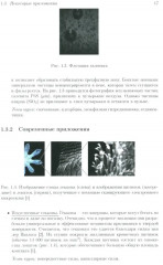 Коллоидные системы: коллоидная «химия» для физиков - Фото 9