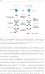 Методы оптической и электронной микроскопии - Фото 8