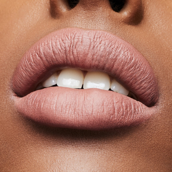 Помада для губ «Lipstick Matte», тон Down To An Art