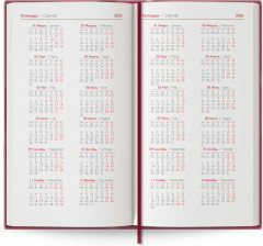 Еженедельник датированный на 2025 год «Кассандра» - Фото 1