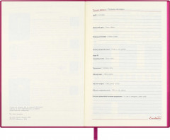 Ежедневник недатированный «Илон Маск» - Фото 4