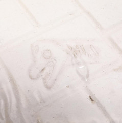 Набор игровой «Настоящие раскопки. Брахиозавр и тираннозавр» - Фото 7