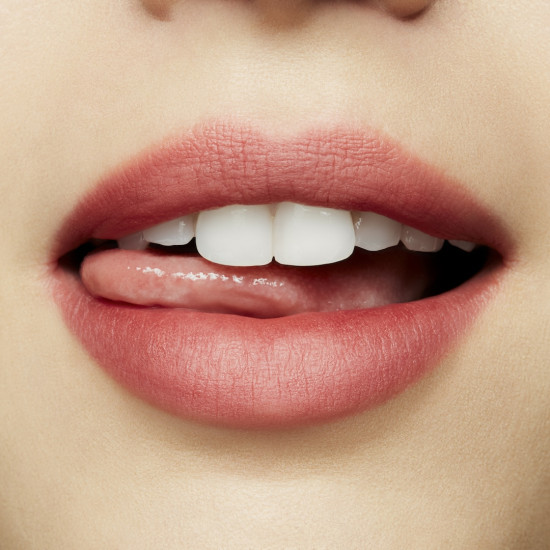 Помада для губ «Powder Kiss Lipstick», тон Brickthrough