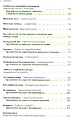 Защита растений от вредителей. Чем, когда, сколько - Фото 4