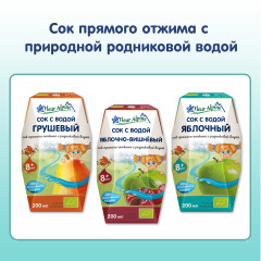 Сок с родниковой водой «Яблочный» - Фото 4
