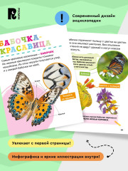 Насекомые. Первая энциклопедия малыша - Фото 4