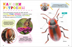 Насекомые. Первая энциклопедия малыша - Фото 8