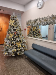 Новогодняя ель - Фото 8