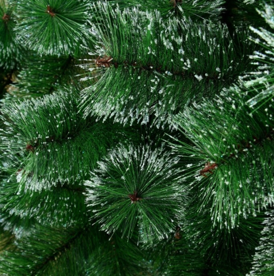 Новогодняя ель