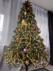 Новогодняя ель - Фото 5