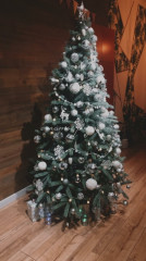 Новогодняя ель - Фото 2