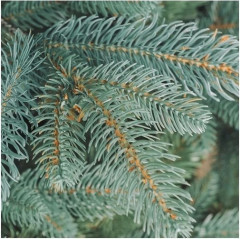 Новогодняя ель - Фото 4