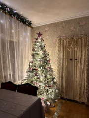 Новогодняя ель - Фото 6