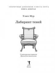 Лабиринт теней. Книга 9 - Фото 1