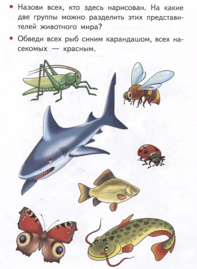 Изучаем окружающий мир. 4-5 лет