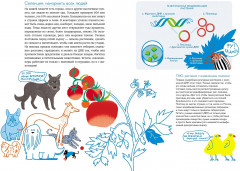 Расплетая ДНК. Увлекательный путеводитель по генетике - Фото 4