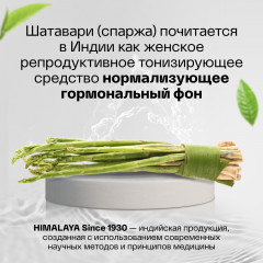 БАД «Asparagus (Shatavari)» - Фото 5