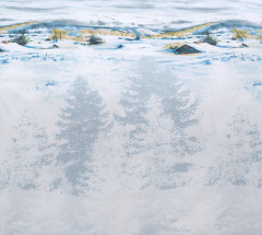 Комплект постельного белья «Снежное сияние 1» - Фото 1