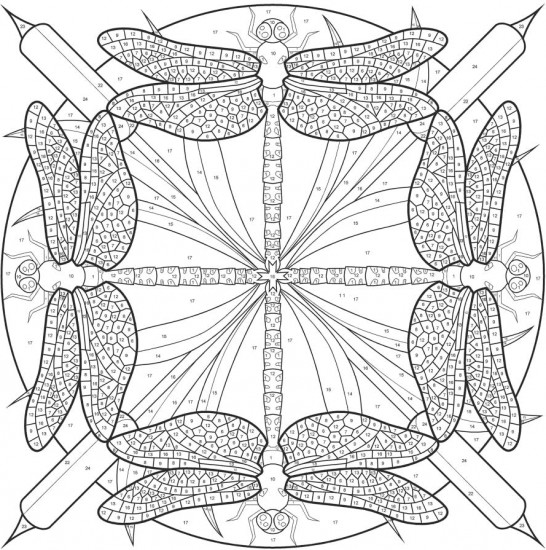 Creative Haven Mandalas Color by Number Coloring Book