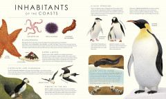 Blue Planet II - Фото 1