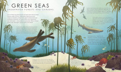 Blue Planet II - Фото 4