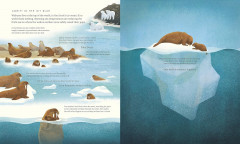 Blue Planet II - Фото 5