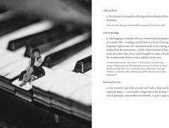 The Dictionary of Obscure Sorrows - Фото 4