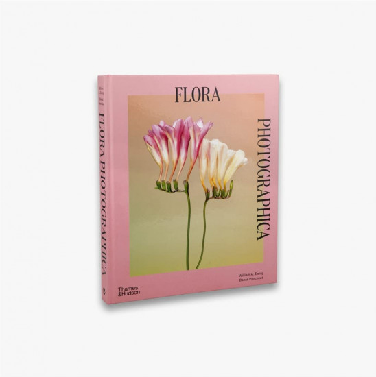Flora Photographica: The Flower in Contemporary Photography