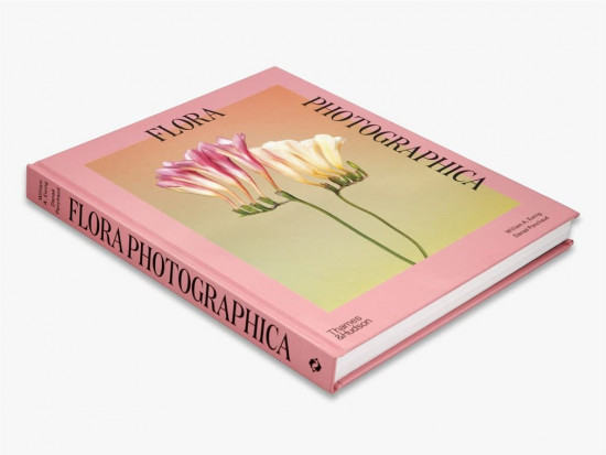 Flora Photographica: The Flower in Contemporary Photography