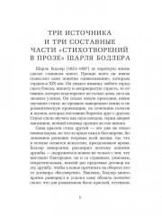 Парижский сплин. Стихотворения в прозе - Фото 3