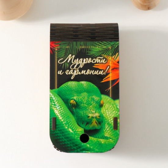 Шкатулка «Змея. Тропики»