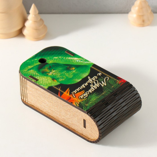 Шкатулка «Змея. Тропики»