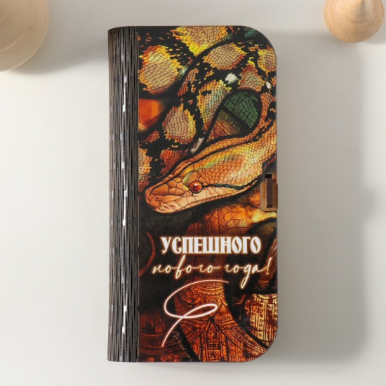 Шкатулка «Успешного НГ»