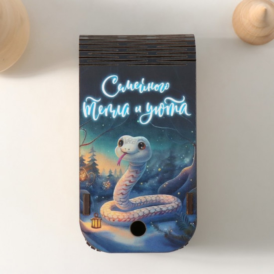 Шкатулка-книга «Змея. Семейного тепла»