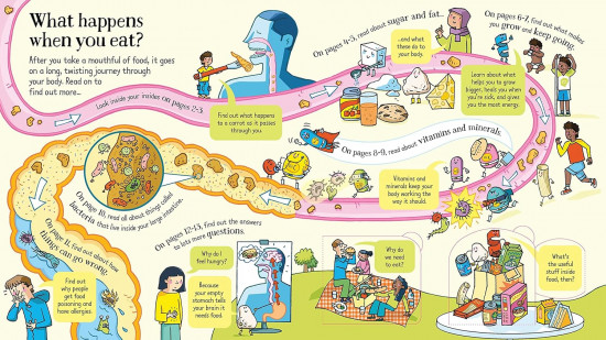 Look Inside What Happens When You Eat?