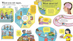 Look Inside What Happens When You Eat? - Фото 3
