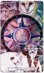 The Uncommon Tarot - Фото 1