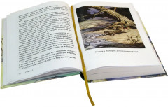 Вниз по Причуди - Фото 1