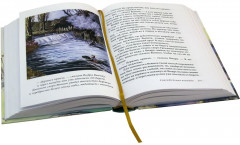 Вниз по Причуди - Фото 5