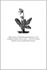 Вниз по Причуди - Фото 8