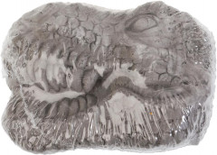Набор игровой «Череп динозавра. Брахиозавр» - Фото 3