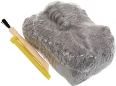 Набор игровой «Череп динозавра. Брахиозавр» - Фото 5