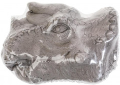 Набор игровой «Череп динозавра. Велоцираптор» - Фото 2