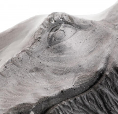 Набор игровой «Череп динозавра. Велоцираптор» - Фото 3