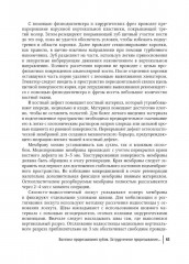 Современные остеопластические материалы. Руководство для врачей - Фото 11