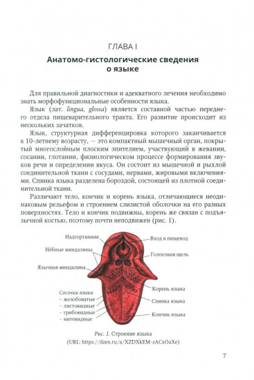 Диагностика, лечение и профилактика основных заболеваний и болевых синдромов языка